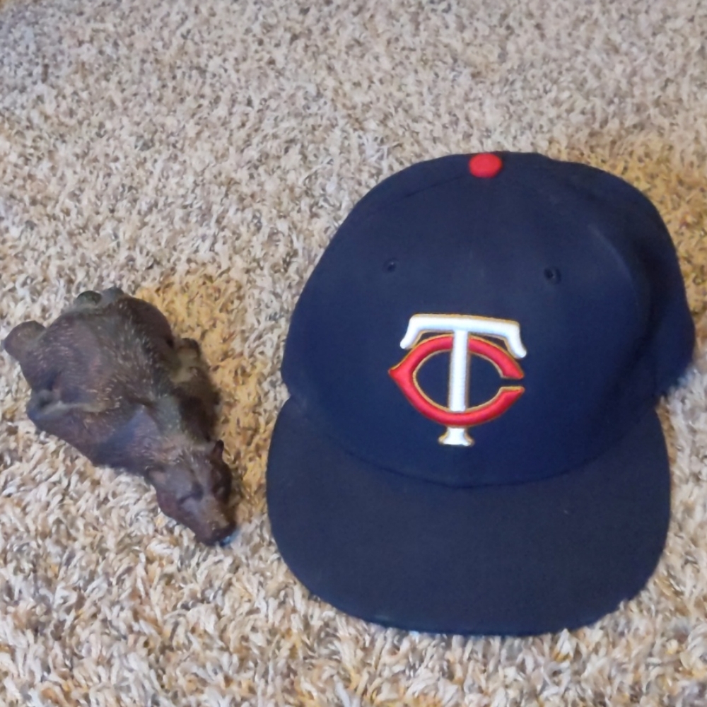 Minnesota Twins Hat